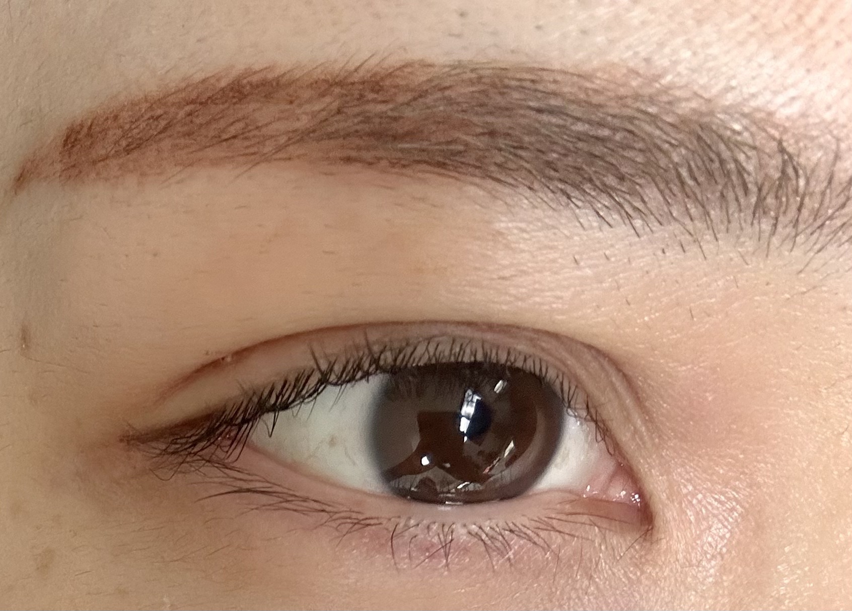 パーフェクトマルチアイズ/キャンメイク/アイシャドウパレットを使ったクチコミ（3枚目）