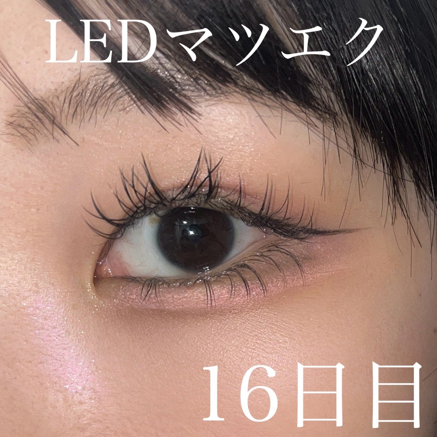 フェイスグロウカラー/CEZANNE/クリームハイライトを使ったクチコミ(1枚目)