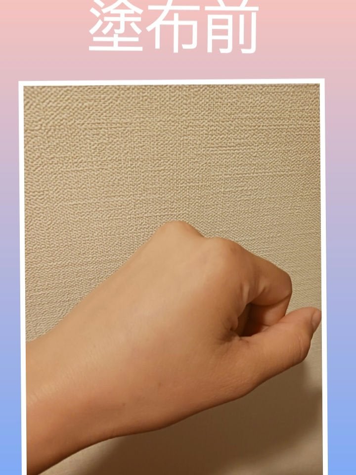 ann_annmk on LIPS 「『VTCOSMETICS(ヴイティコスメティックス)リードルS..」(3枚目)