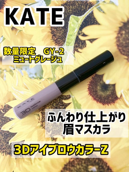 ケイト 3DアイブロウカラーZ/KATE/眉マスカラを使ったクチコミ(1枚目)