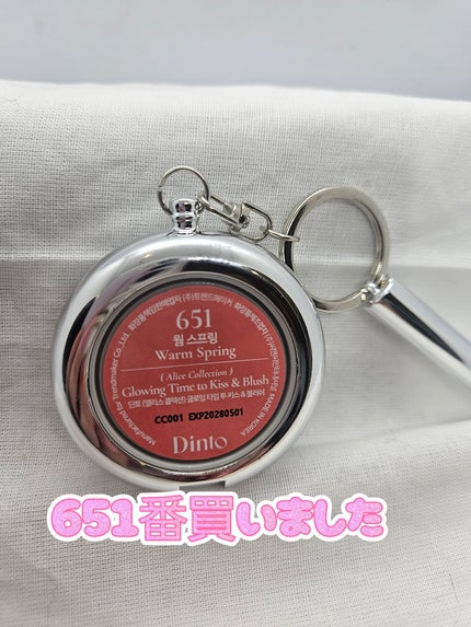 ブラーリングタイムトゥーキスアンドブラッシュ #607/Dinto/口紅の画像