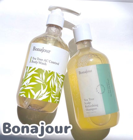 ティーツリーACコントロールボディウォッシュ/Bonajour/その他を使ったクチコミ(1枚目)