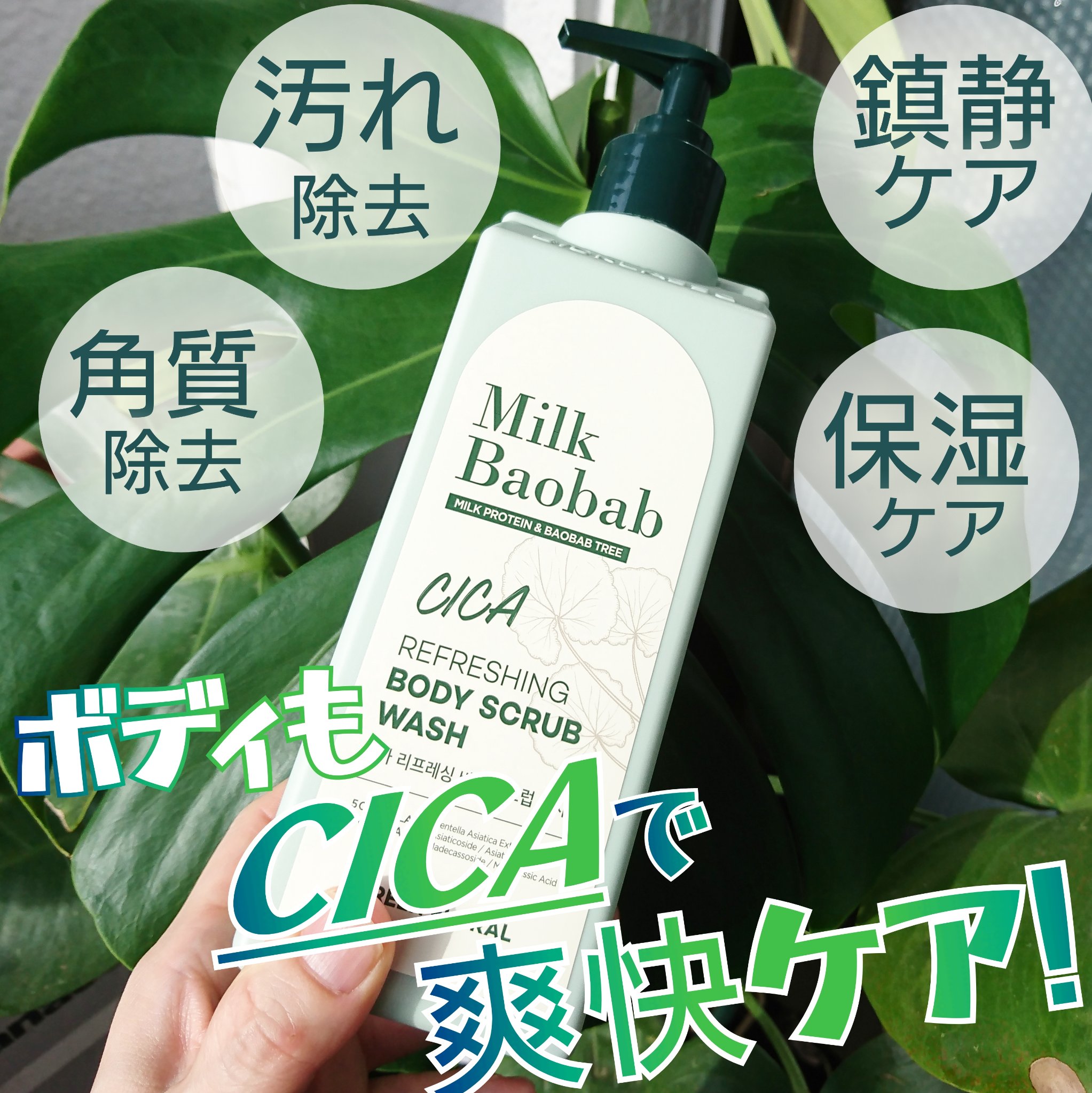  シカ リフレッシング ボディ スクラブ ウォッシュ/ミルクバオバブ/ボディスクラブを使ったクチコミ（1枚目）