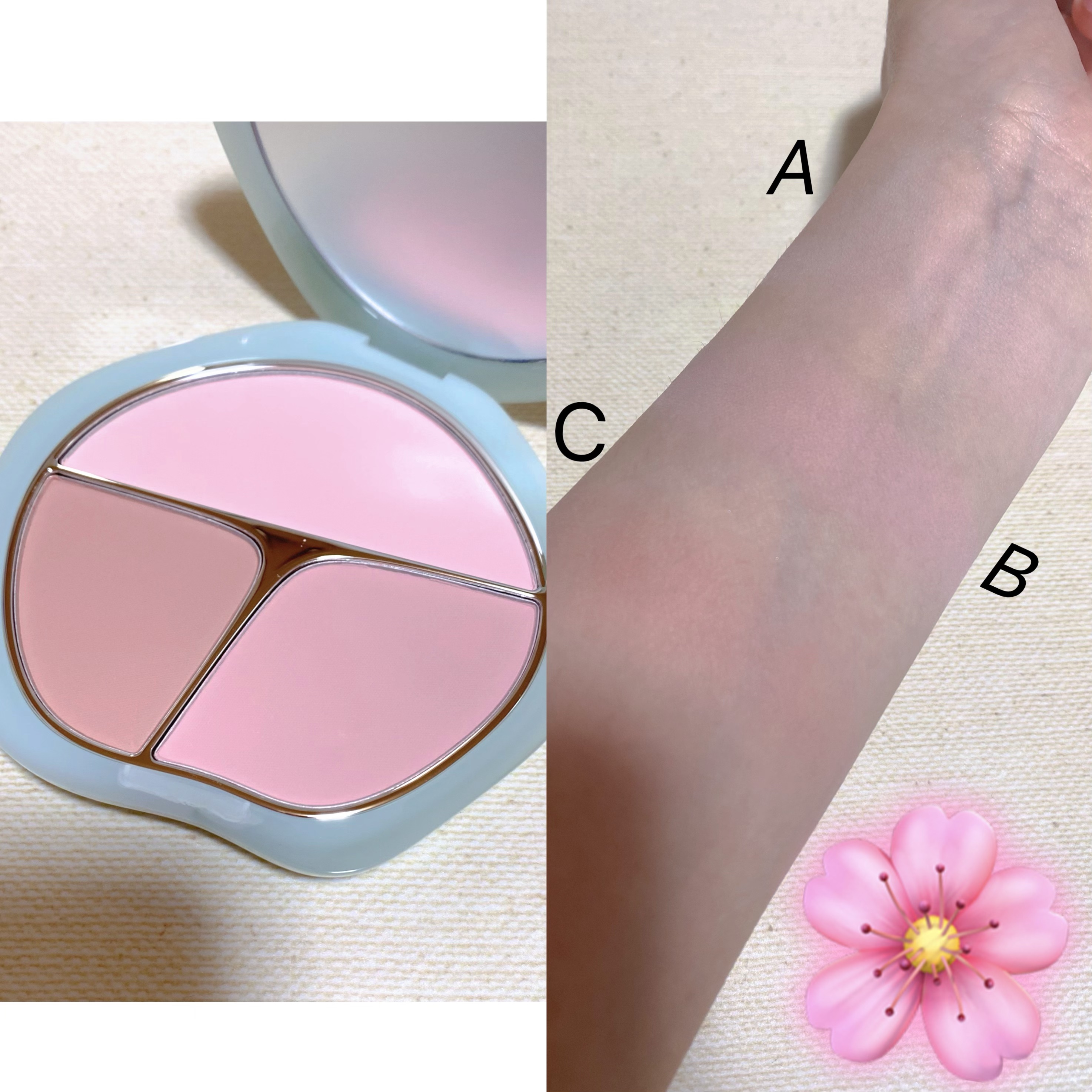 TIMAGE  3色チークパレット/TIMAGE/パウダーチークを使ったクチコミ（3枚目）