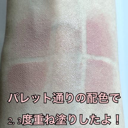 ソフトシアーマルチパレット/wakemake/アイシャドウパレットを使ったクチコミ(3枚目)