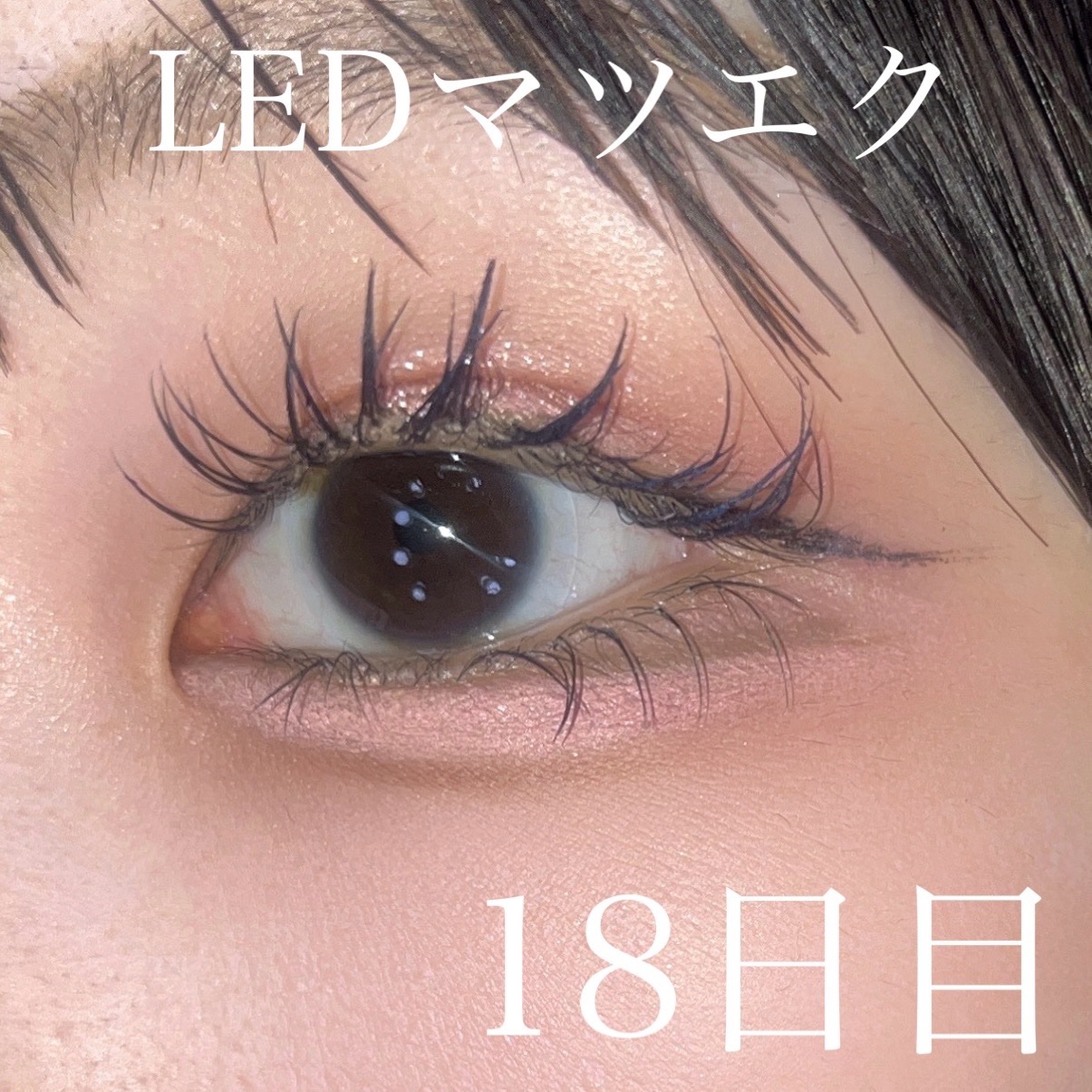 メロウシャドウ/KiSS/ジェル・クリームアイシャドウを使ったクチコミ（1枚目）