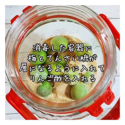 青山ニナ@コスメコンシェルジュインストラクター on LIPS 「去年からてんさい糖で漬けている梅シロップ🫗最近めっちゃ焼き鳥食..」(4枚目)