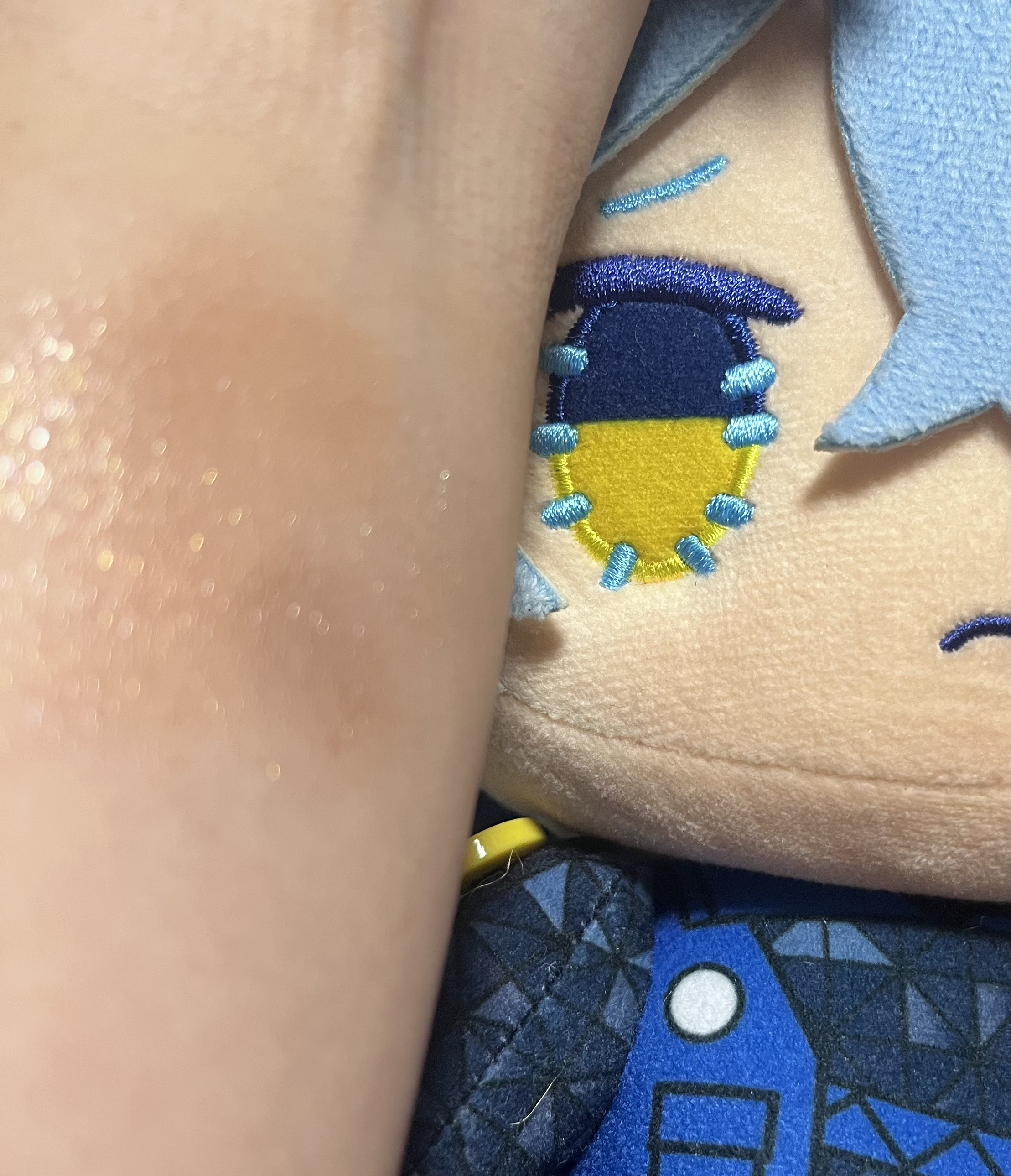 ルマンド 50th Anniversary マルチコスメパレット Book/宝島社/書籍を使ったクチコミ（3枚目）