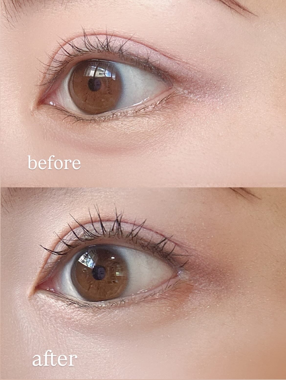 カールフィックスマスカラ/ETUDE/マスカラを使ったクチコミ(3枚目)