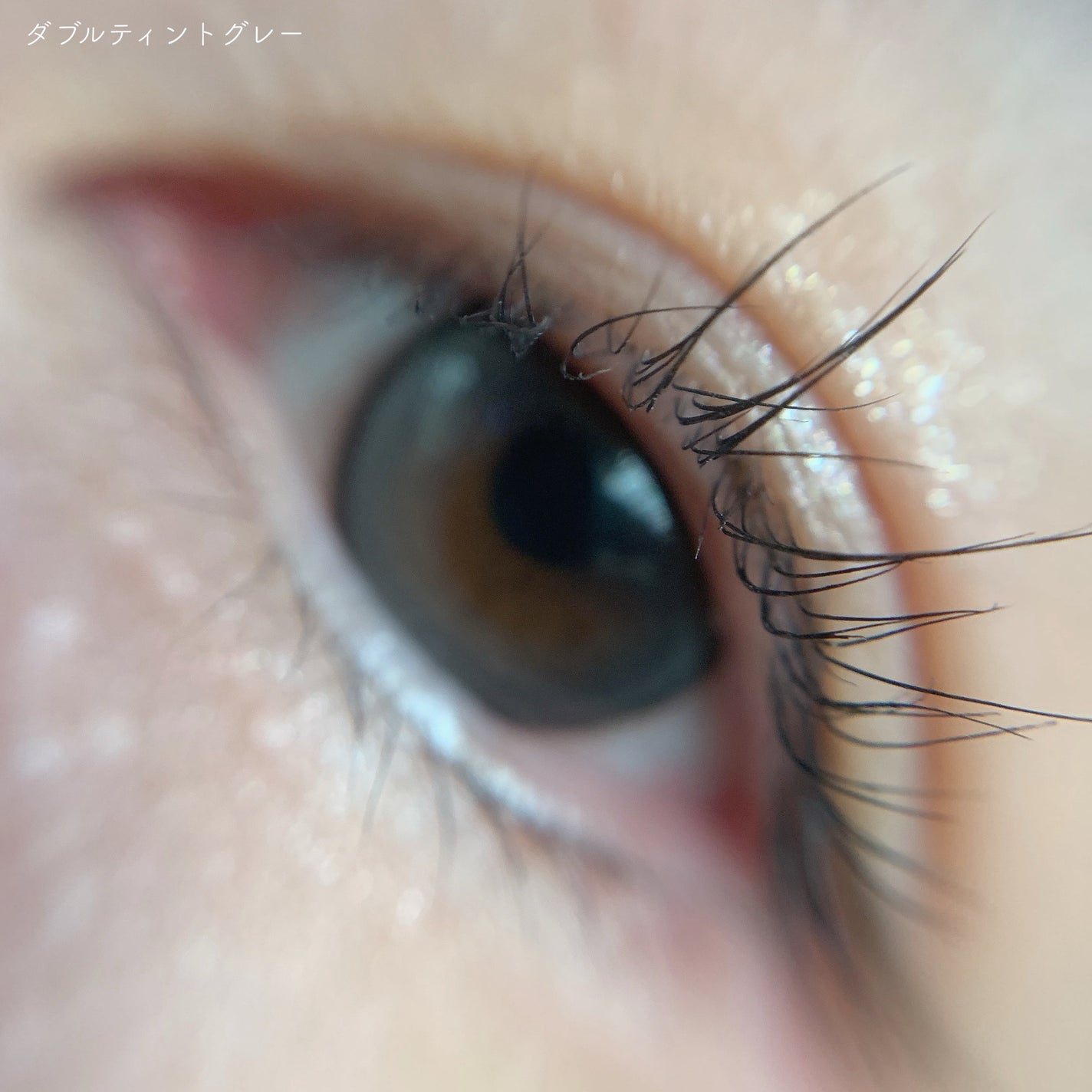 Double Tint 1day/OLENS/カラーコンタクトレンズを使ったクチコミ(5枚目)