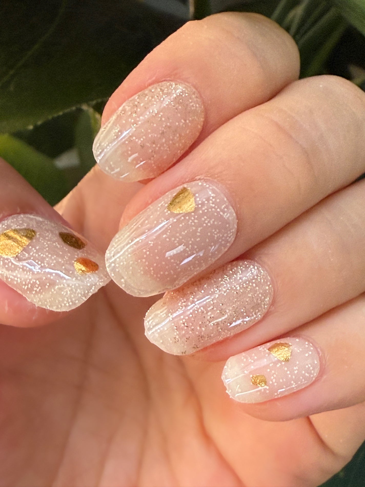 まりしる 🐈⬛フォロバ on LIPS 「.˚⊹⁺‧┈┈┈┈┈┈┈┈┈┈┈┈‧⁺⊹˚.こんにちわん🙌まり..」(1枚目)