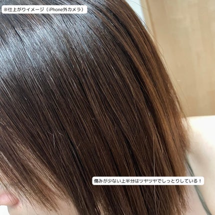 エクストラモイストシャンプー・リペアトリートメント ミスティックウッディの香り シャンプー(380ml)/Cleo's Beauté/市販シャンプーの画像