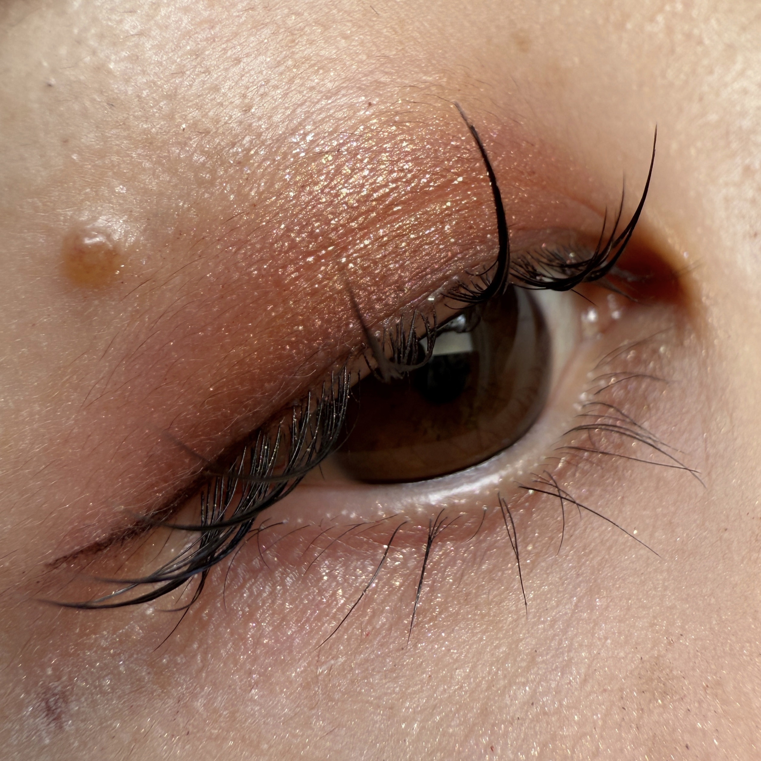 アイカラーレーション/LUNASOL/アイシャドウパレットを使ったクチコミ（2枚目）