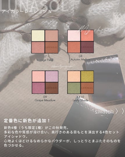 ルナソル アイカラーレーションN/LUNASOL/アイシャドウパレットを使ったクチコミ(5枚目)