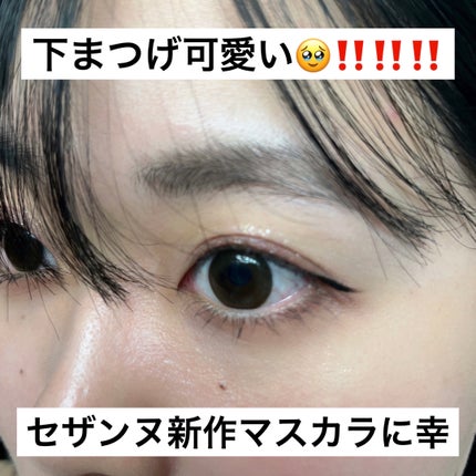 プティパレットアイズ/キャンメイク/パウダーアイシャドウを使ったクチコミ(1枚目)