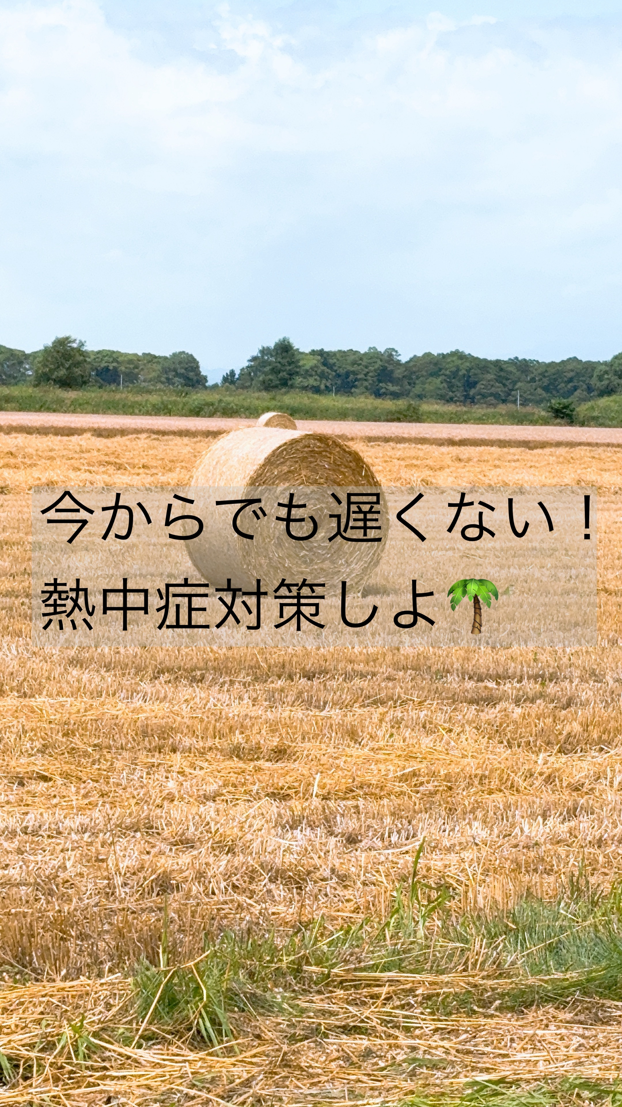 〜今からでも遅くない！熱中症対策しよ🌴〜

夏本番ですね🏖
楽しいアクティビティが増える季節ですが、怖いのは熱中症。

夏イベントをも楽しみながらも、基本的な日常生活の中で出来る対策を画像にまとめてみました☆

どれも日常生活に少し＋す