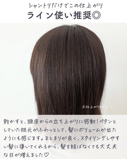 薬用シャンプー/デルメッド/市販シャンプーを使ったクチコミ(6枚目)