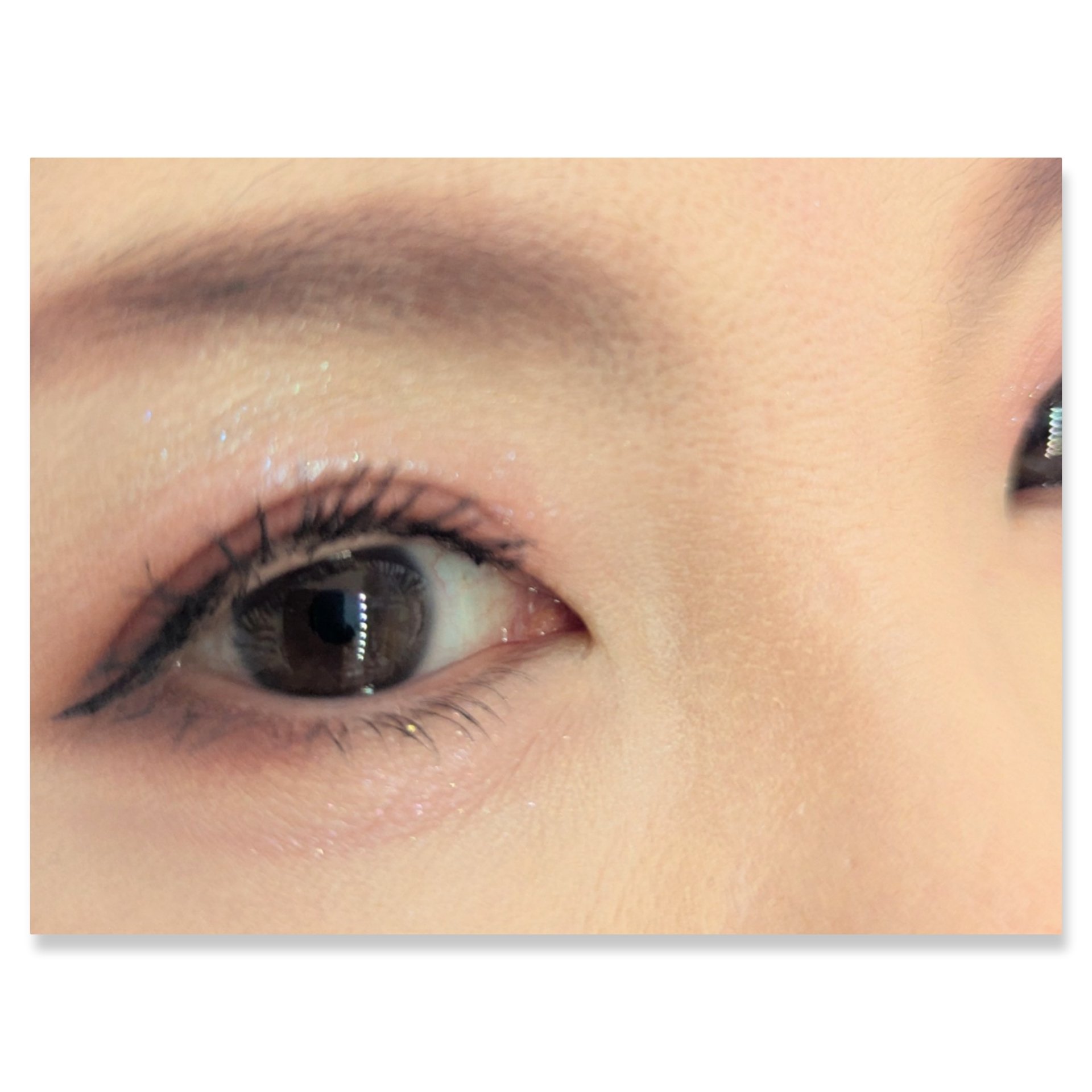 ディオール バックステージ アイ パレット/Dior/アイシャドウパレットを使ったクチコミ（2枚目）