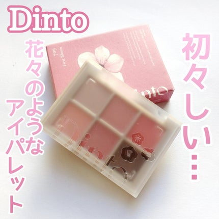ブラーフィニシュシャドウパレット/Dinto/アイシャドウパレットを使ったクチコミ(1枚目)