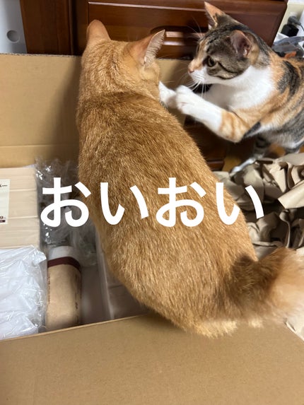 ðââ¬ã«ãããðŸ on LIPS ãç¡å°ã«ãªããªãè¡ããªãã®ã§ãããã§é Œãã ã¹ããã¯åããããå±ã..ãïŒ3æç®ïŒ