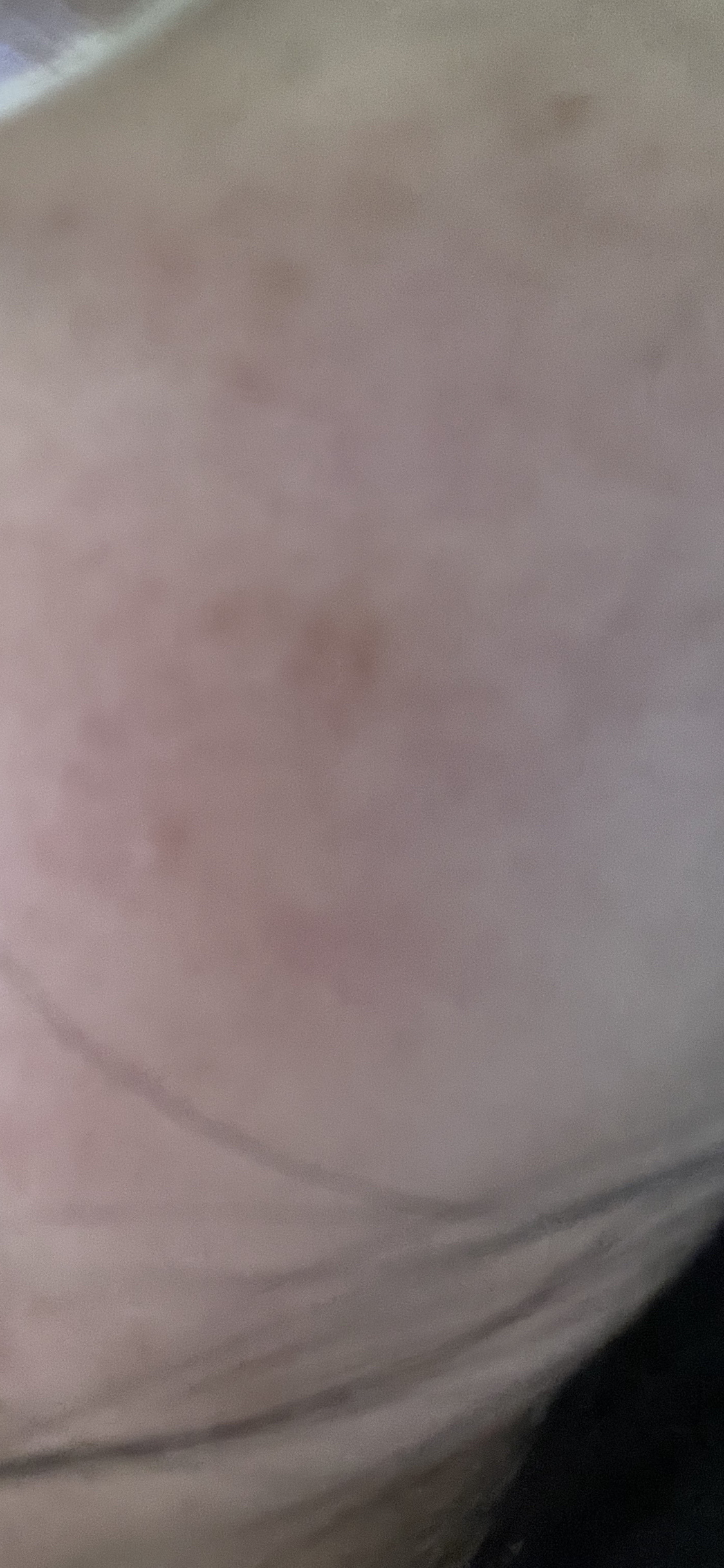 DHCパーフェクト UVミルク/DHC/日焼け止めミルクを使ったクチコミ（2枚目）