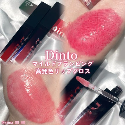 ディープキスド プランピング リップエナメル/Dinto/リップグロスを使ったクチコミ(1枚目)