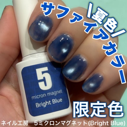 5ミクロンマグネット/ネイル工房/ジェルネイルを使ったクチコミ(1枚目)