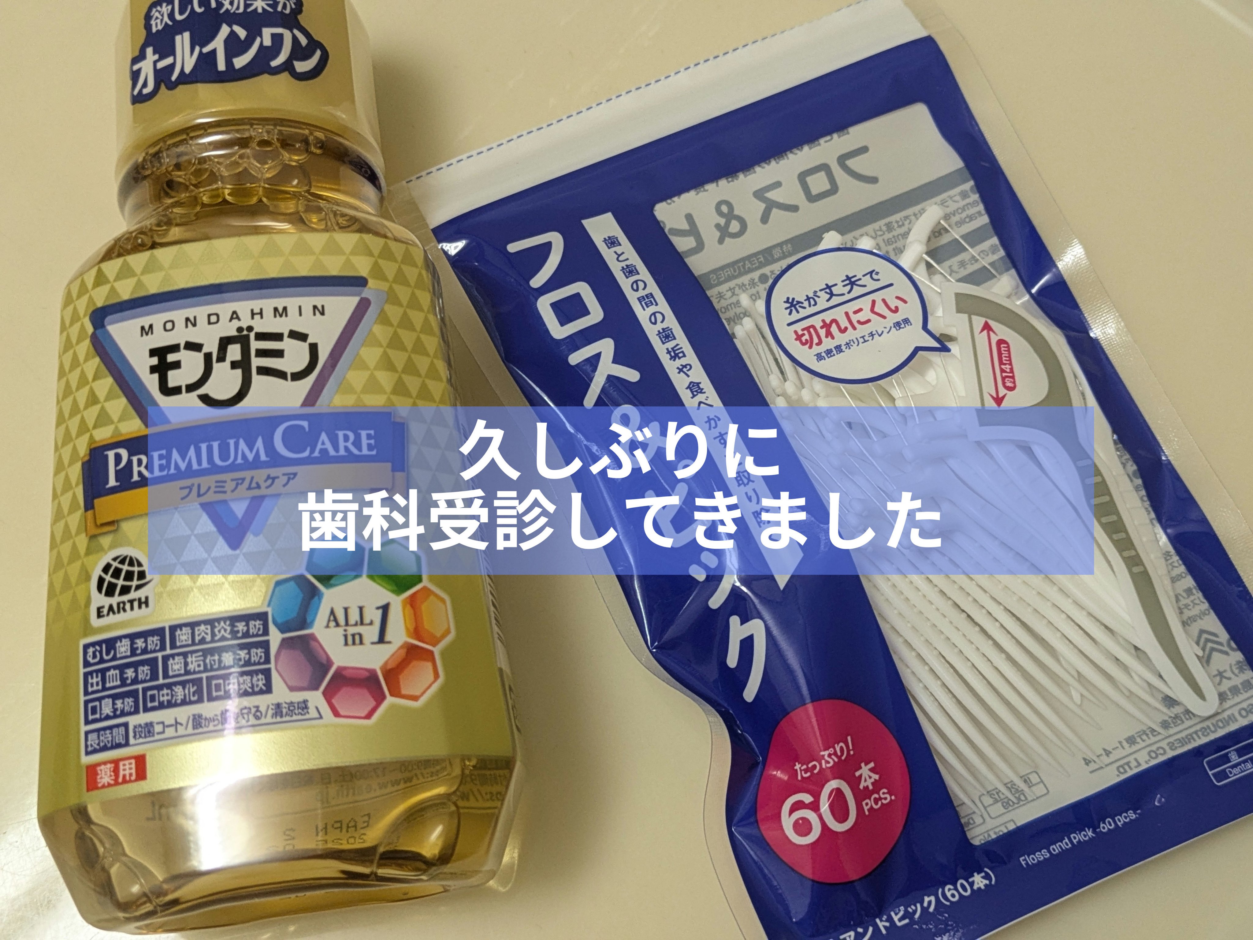 フロス＆ピック/DAISO/デンタルフロス・歯間ブラシを使ったクチコミ（1枚目）