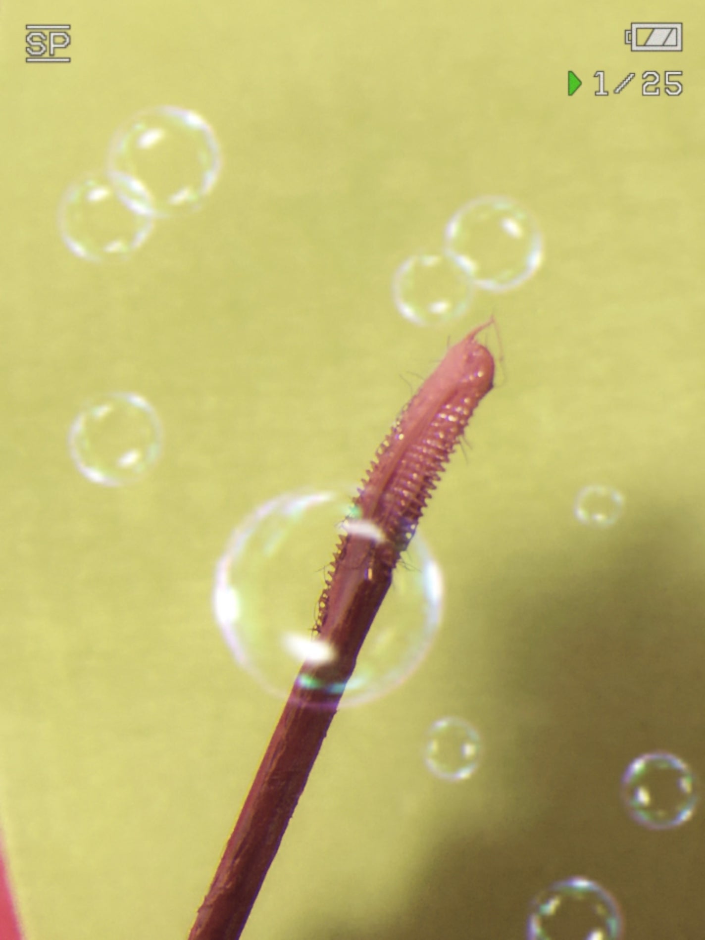 マジックティント/MAJOLICA MAJORCA/マスカラを使ったクチコミ(1枚目)