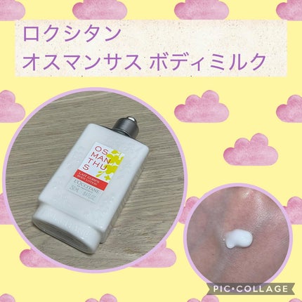 オスマンサス ボディミルク/L'OCCITANE/ボディミルクを使ったクチコミ(1枚目)