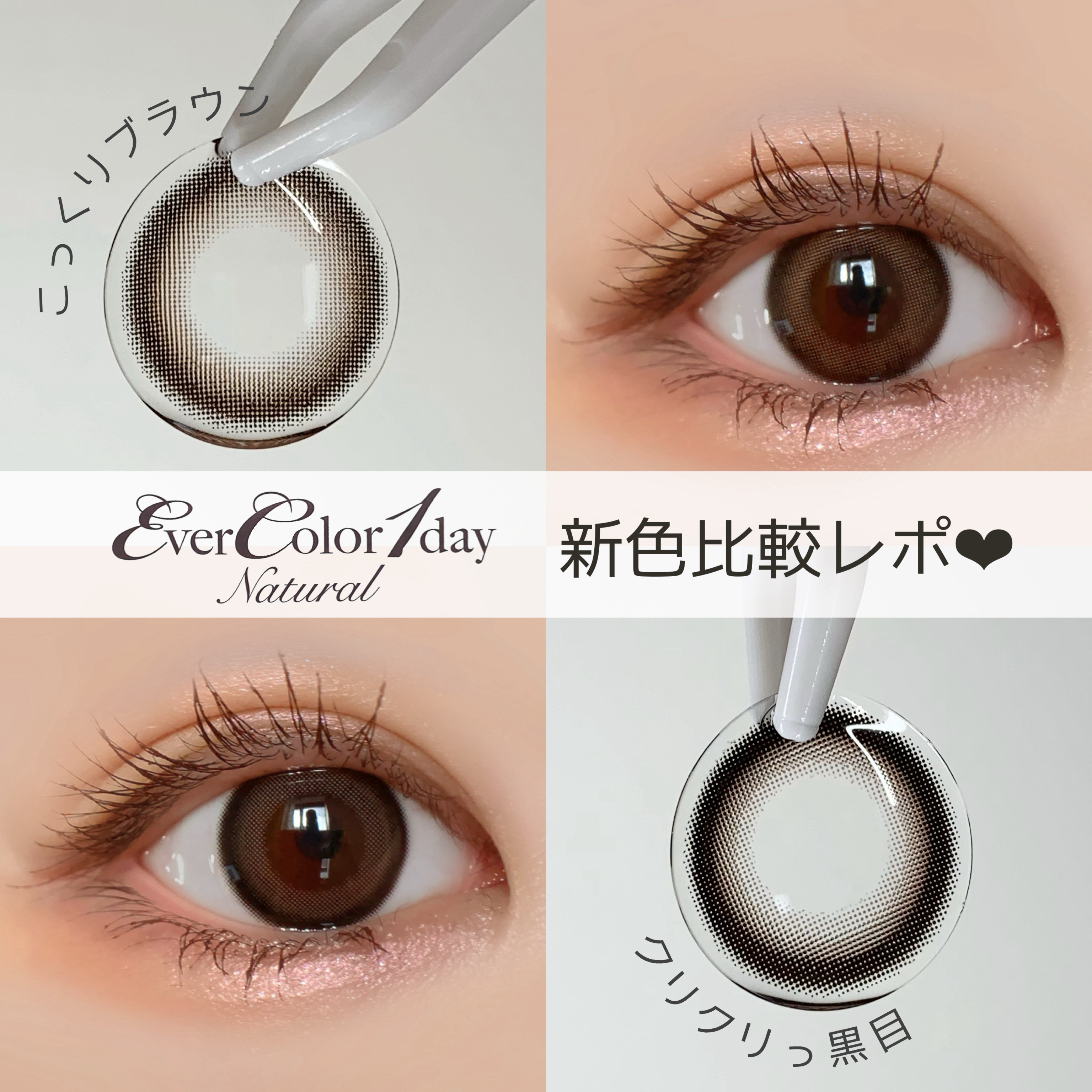 エバーカラーワンデー ナチュラル/エバーカラー/ワンデー（１DAY）カラコンを使ったクチコミ（1枚目）