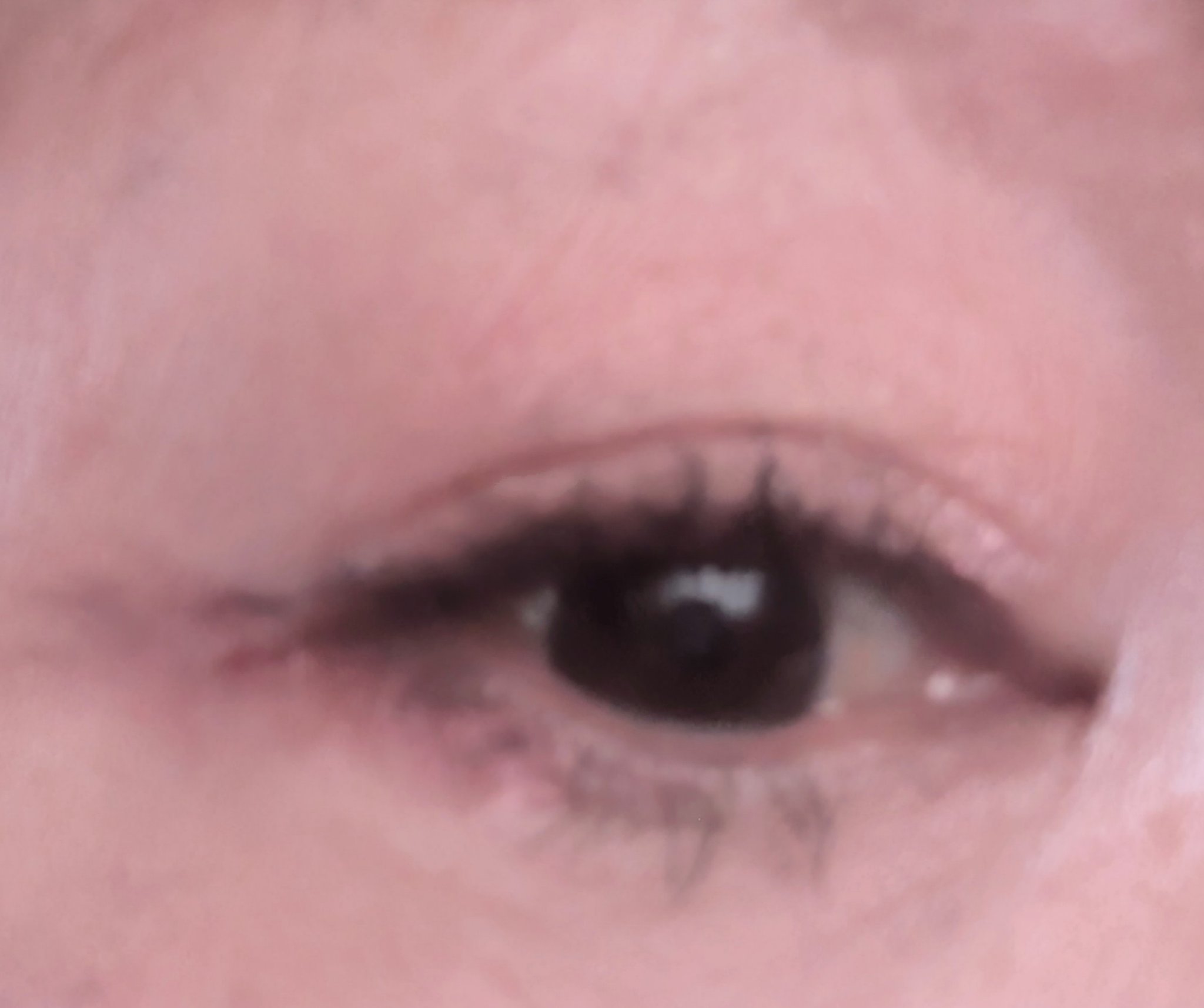 キラー アイ トリオ/Visée/アイシャドウパレットを使ったクチコミ（2枚目）