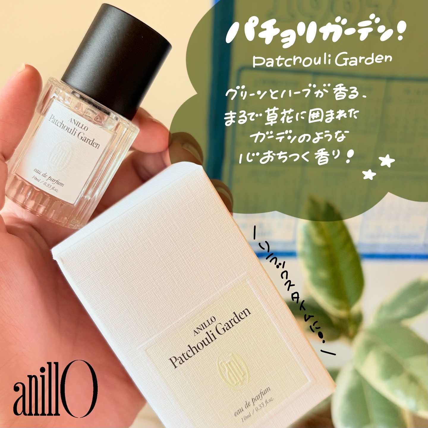 オードパルファム　Lime Sunday/ANILLO/香水(レディース)を使ったクチコミ（3枚目）