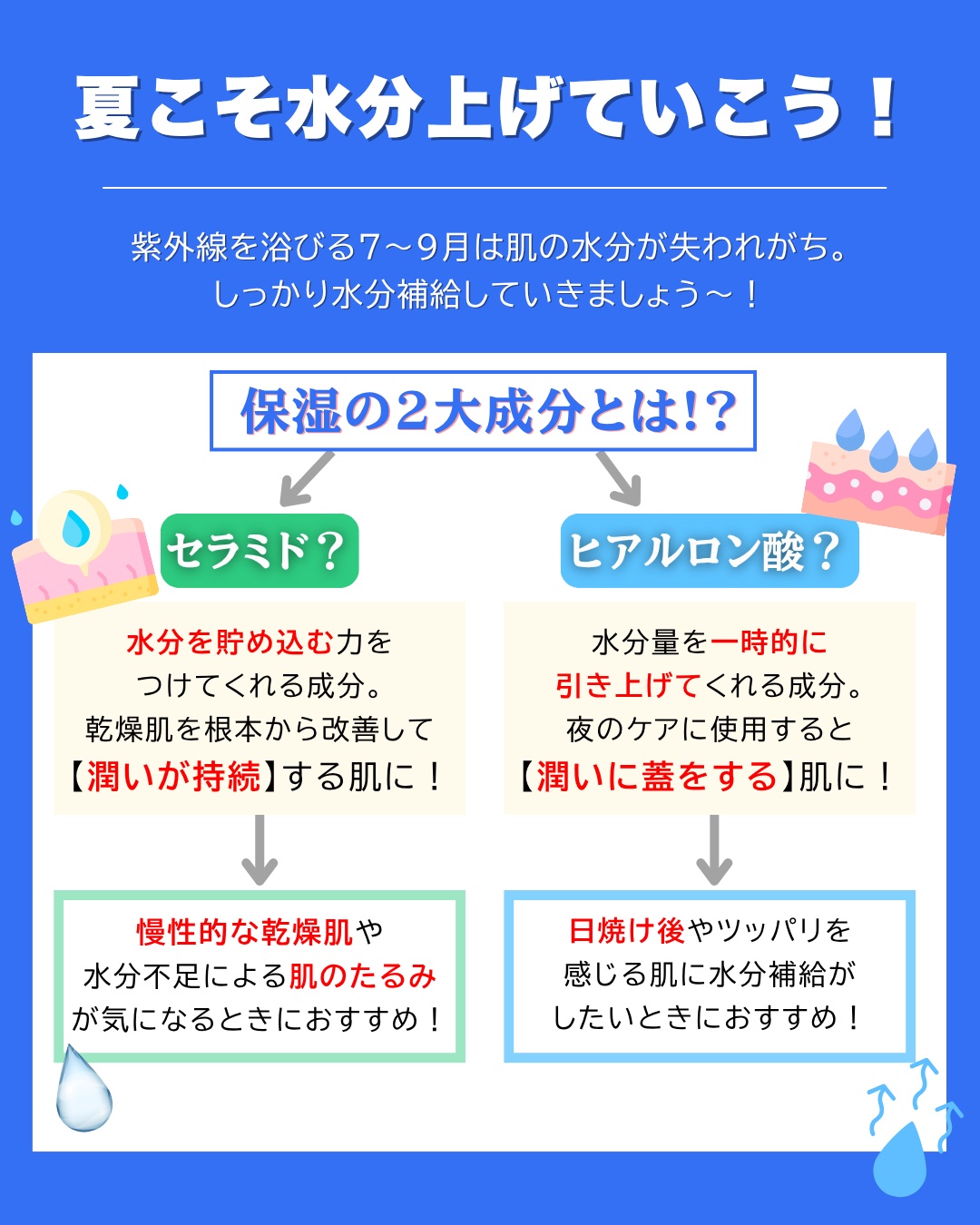モイストリファイン 化粧液 II しっとり/ファンケル/化粧水を使ったクチコミ（2枚目）