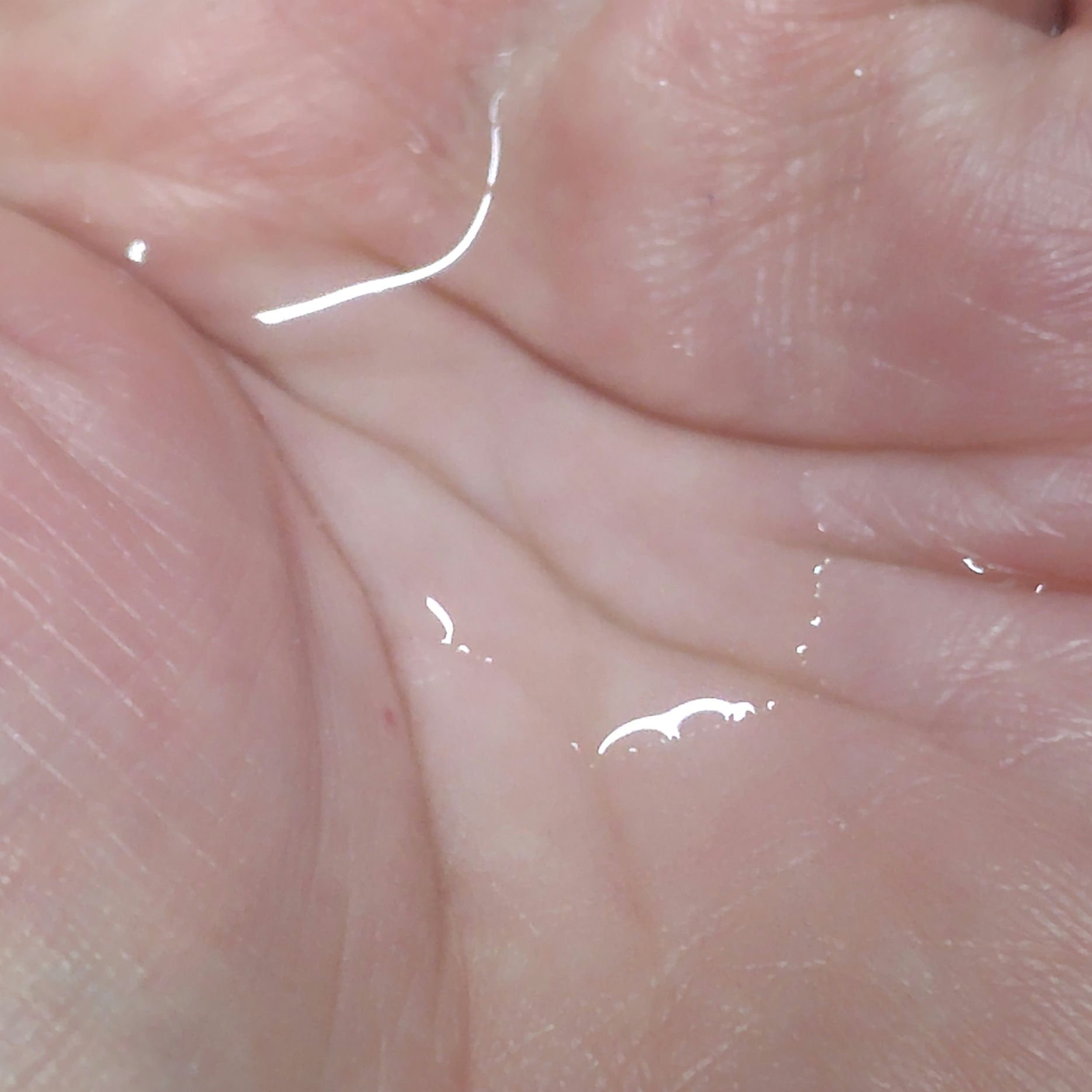 ザ・タイムR アクア 200ml/IPSA/化粧水を使ったクチコミ（3枚目）