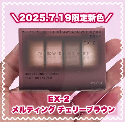 ケイト メロウブラウンアイズ/KATE/アイシャドウパレットを使ったクチコミ(1枚目)