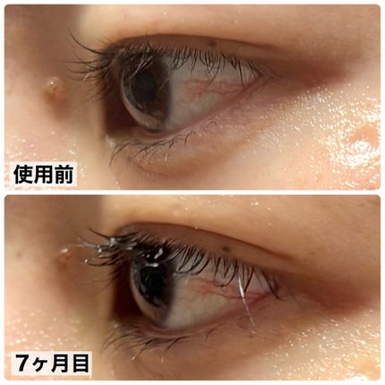 を使ったクチコミ(2枚目)