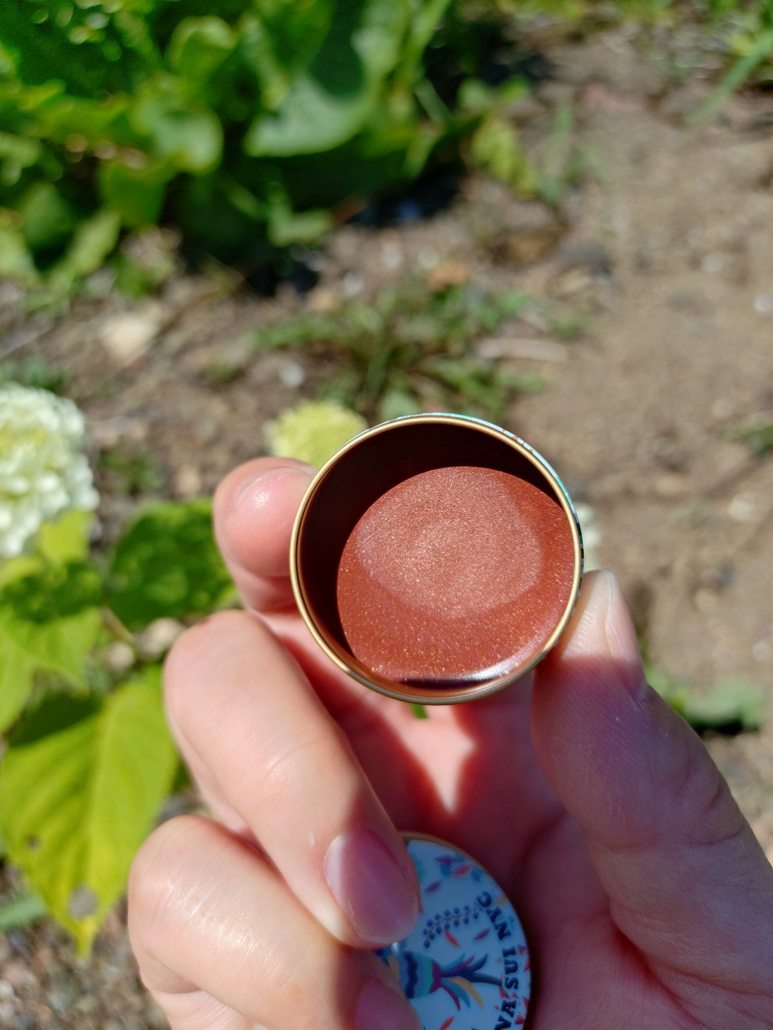 アナ スイ フェイス マルチ バーム/ANNA SUI/ジェル・クリームチークを使ったクチコミ（2枚目）