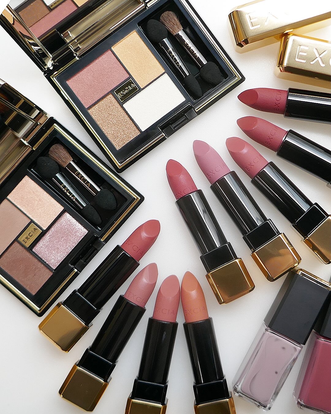 エクシア ルージュ レヴェランス/ALBION/口紅を使ったクチコミ（1枚目）