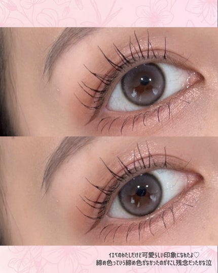 ãœããã·ã¢ãŒãã«ããã¬ãã/wakemake/ã¢ã€ã·ã£ããŠãã¬ããã䜿ã£ãã¯ãã³ãïŒ4æç®ïŒ