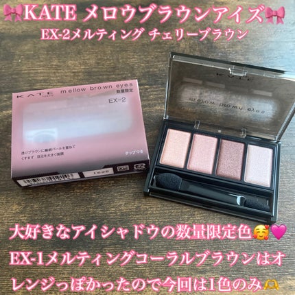 ケイト メロウブラウンアイズ/KATE/アイシャドウパレットを使ったクチコミ(1枚目)