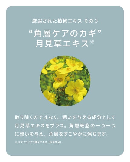 ナリス化粧品公式アカウント on LIPS 「植物のちからでととのえるルクエコンク🌿\厳選された3つの植物エ..」(5枚目)