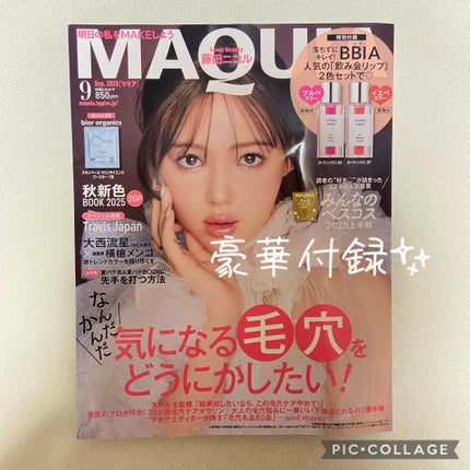 ローティント/BBIA/リップティントを使ったクチコミ(1枚目)