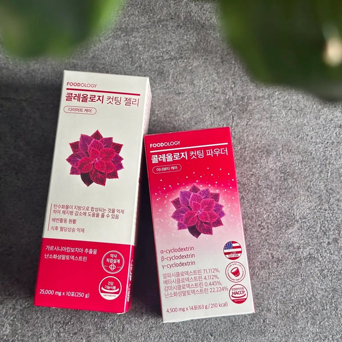 コレオロジーカットゼリー/FOODOLOGY/食品を使ったクチコミ(1枚目)