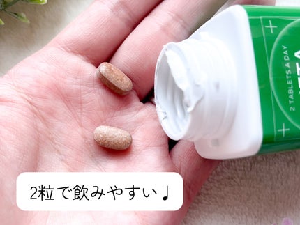 メタグリーンスリムアップ/VITALBEAUTIE/ボディサプリメントを使ったクチコミ(2枚目)