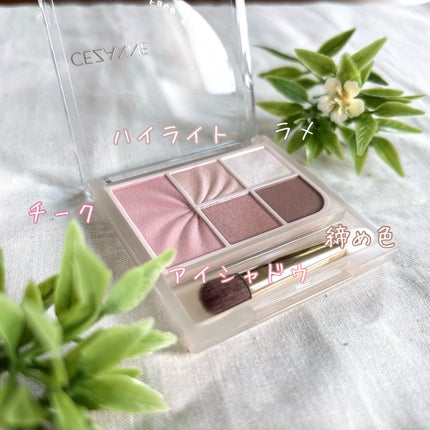 フェイスアイパレット/CEZANNE/アイシャドウを使ったクチコミ(4枚目)
