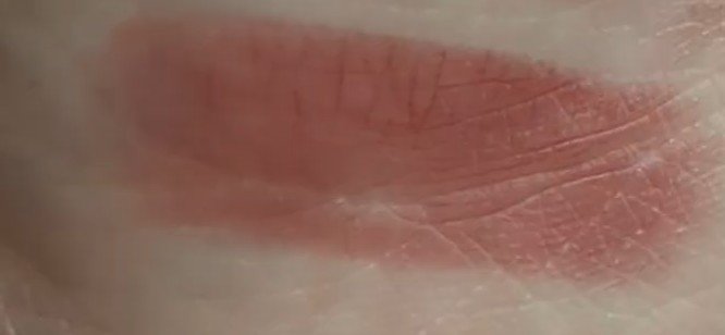 ケイト リップモンスター/KATE/口紅を使ったクチコミ（1枚目）