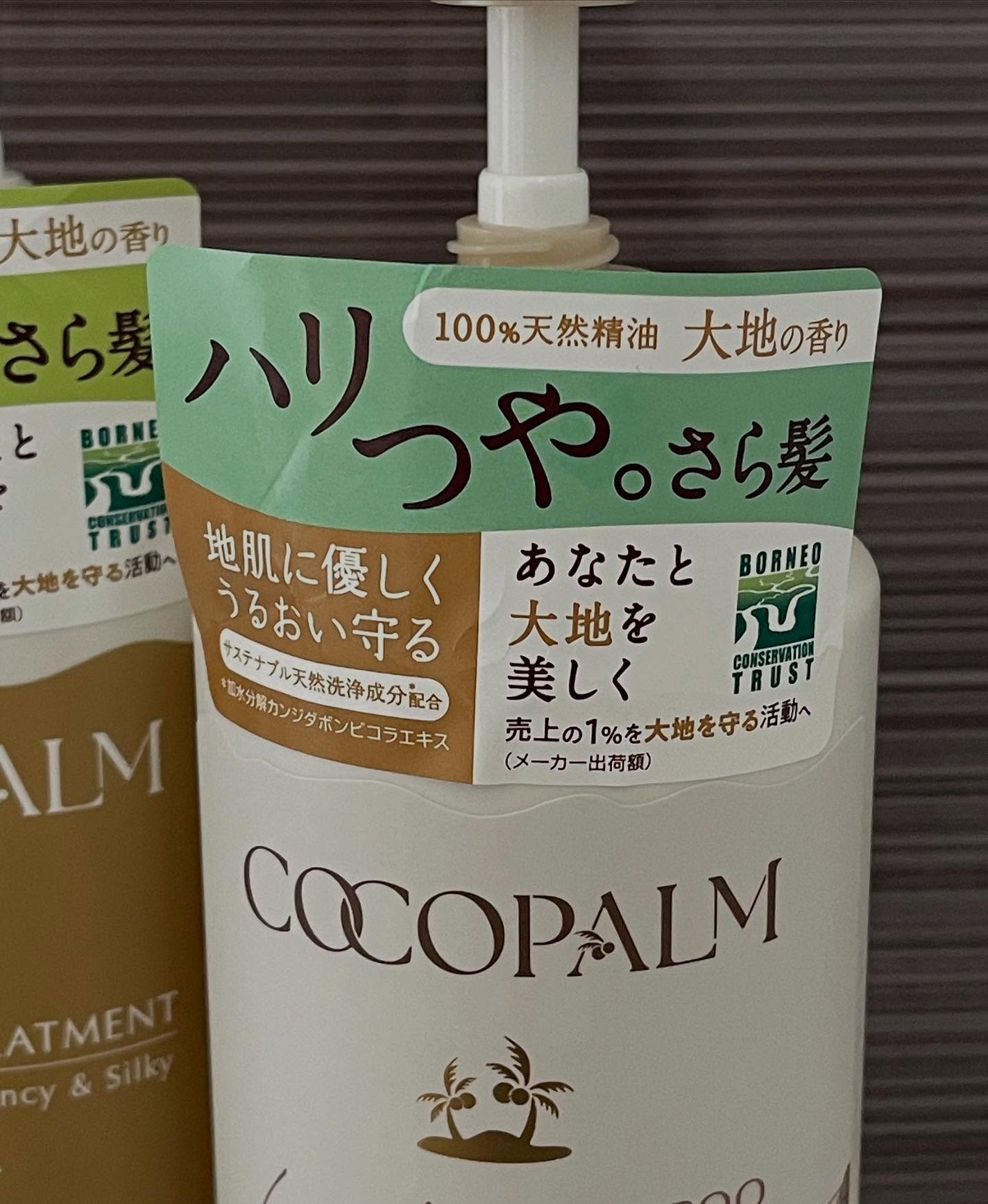 ココパーム ランドエッセンスシャンプー/トリートメント/Cocopalm(ココパーム)/市販シャンプーを使ったクチコミ(2枚目)