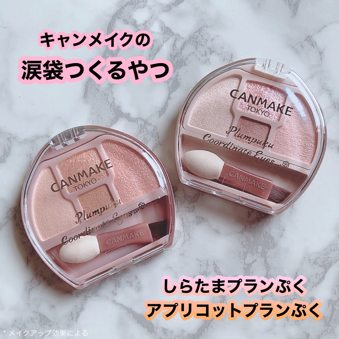 プランぷくコーデアイズ/キャンメイク/パウダーアイシャドウを使ったクチコミ（1枚目）