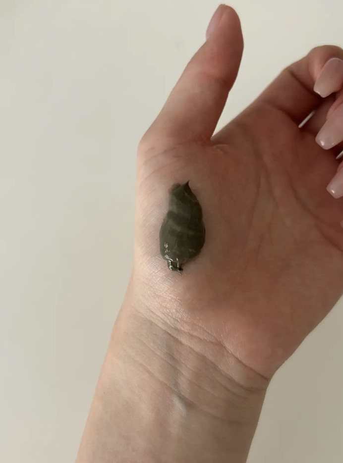 リカバリーマッドマスク/BRMUD/洗い流すパック・マスクを使ったクチコミ（2枚目）